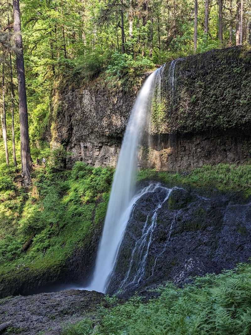Silver Falls State Park and the Trail of Ten Falls