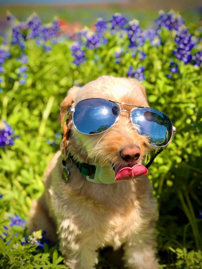 Best Times to Visit for Peak Bloom