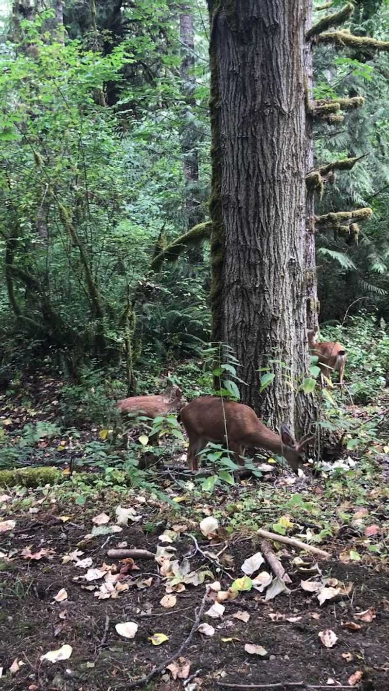 Wildlife and Nature That Reminds You the World Is Still Wild