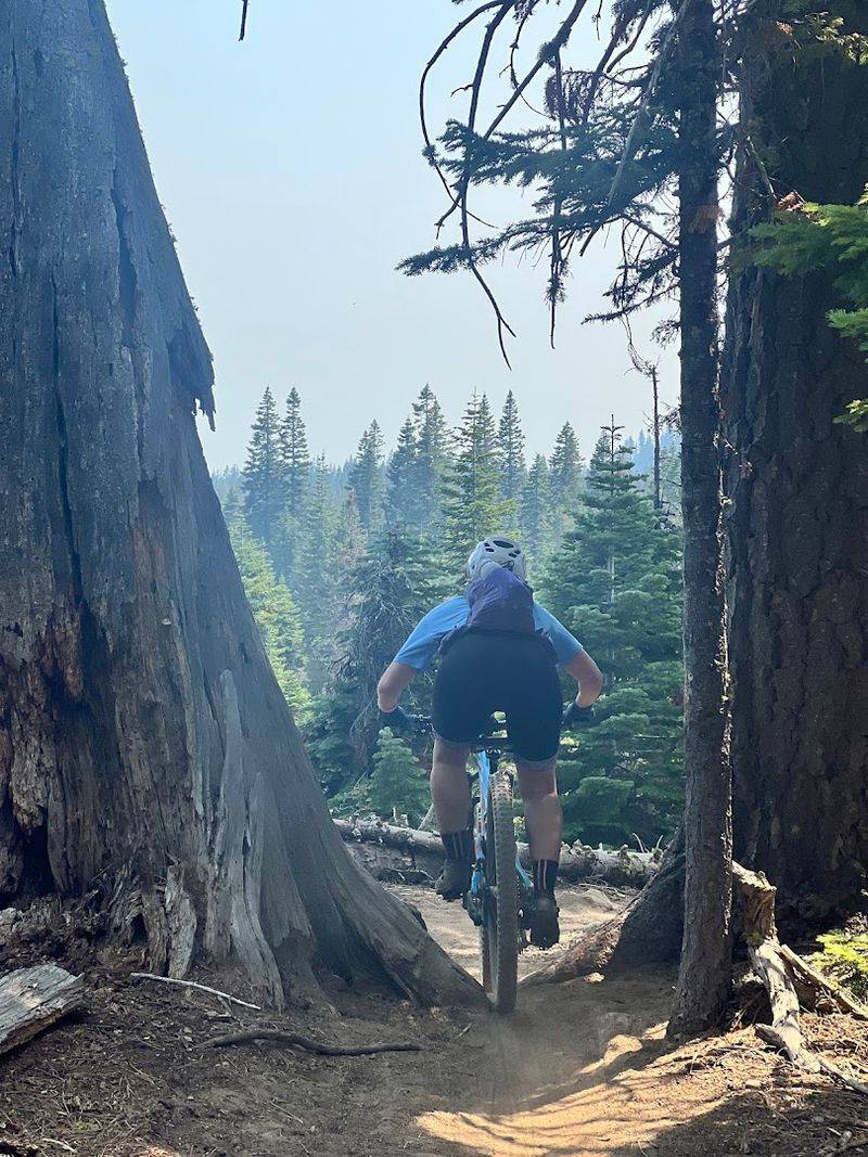 Engage in Mountain Biking