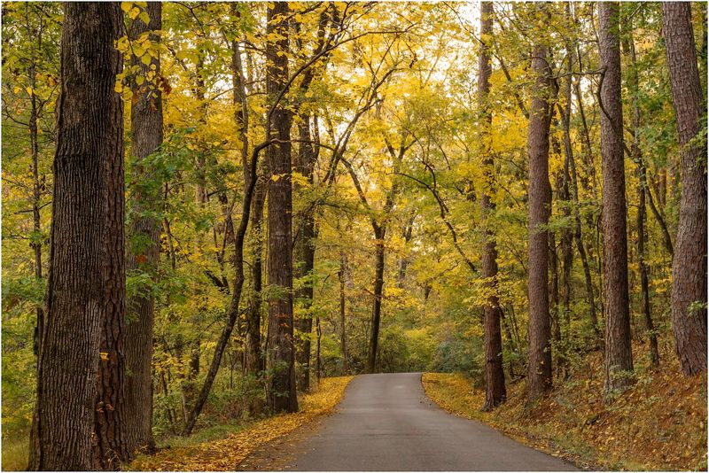 Planning Your Visit to Make the Most of Every Hour