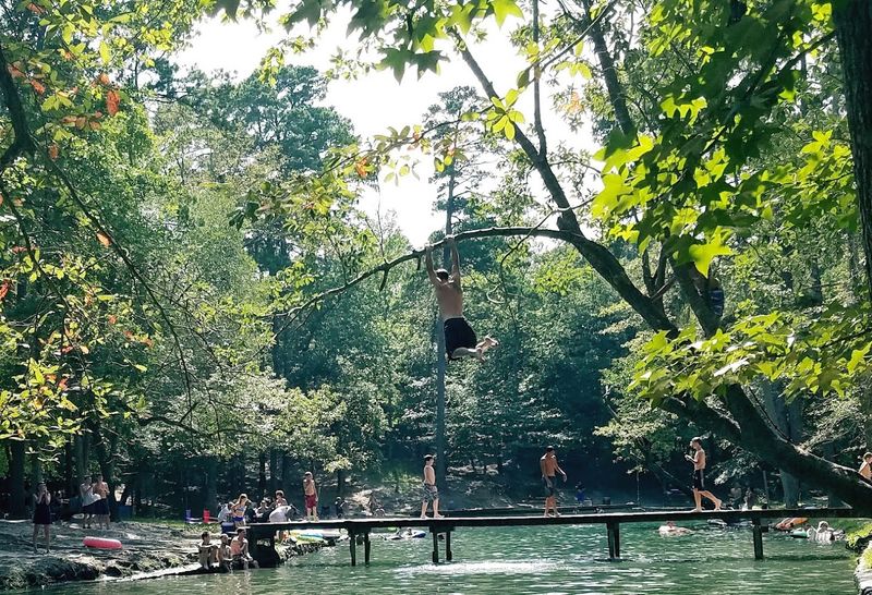 The Piney Woods Setting