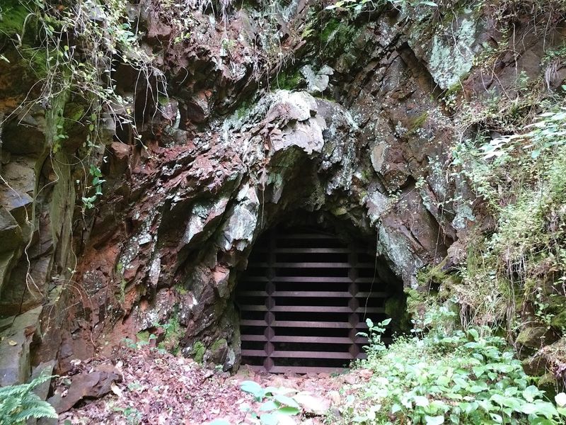 The Moonshine Murders Program: Where History Gets Spooky