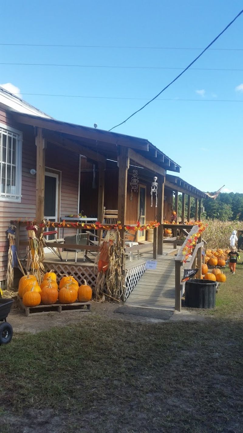 Pimento Cheese That Converts the Skeptics