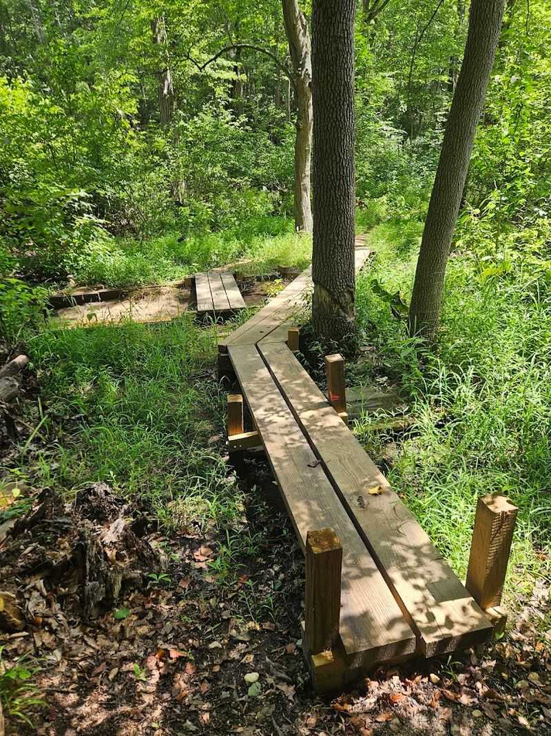 Boardwalks and Bridges That Add Character to Every Step