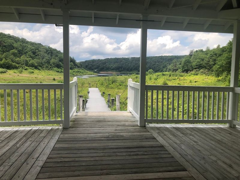 Conservation Efforts and the Fight to Save the Lake