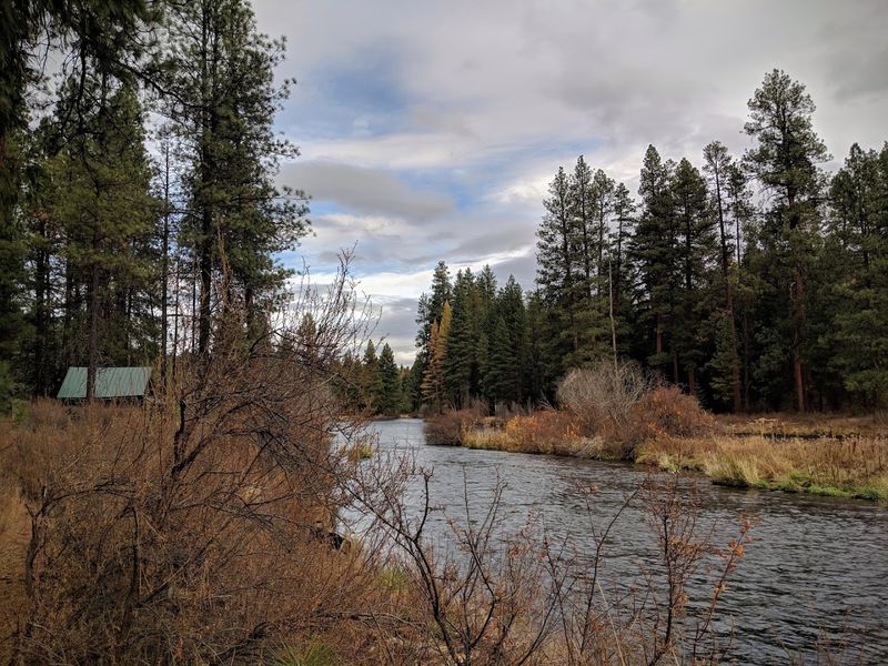 Camping Along the Metolius: Eleven Sites, Zero Complaints