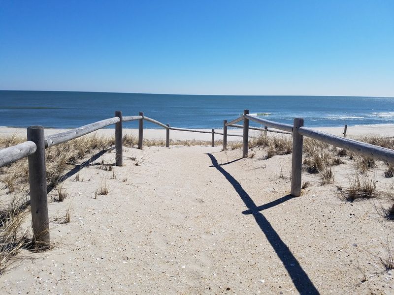 Why Harvey Cedars Stays With You Long After You Leave