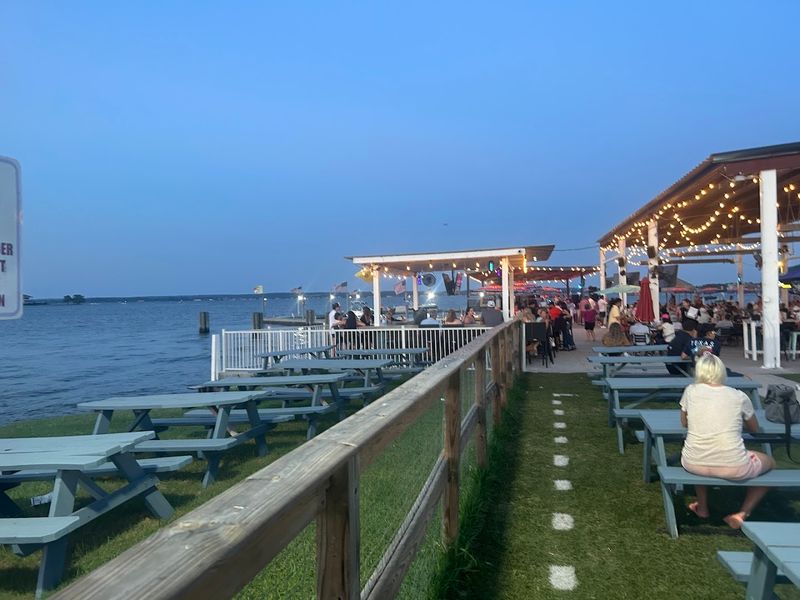 Bringing the Dog Along Is Totally Welcome