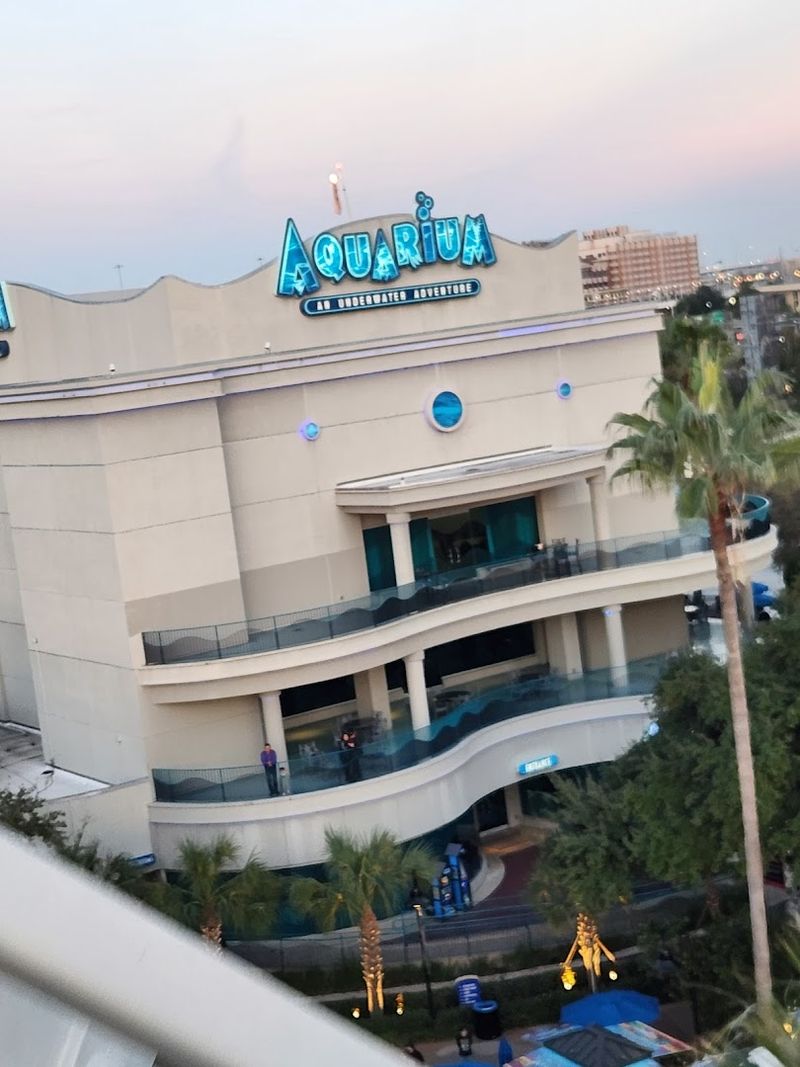 Location in the Heart of Downtown Houston