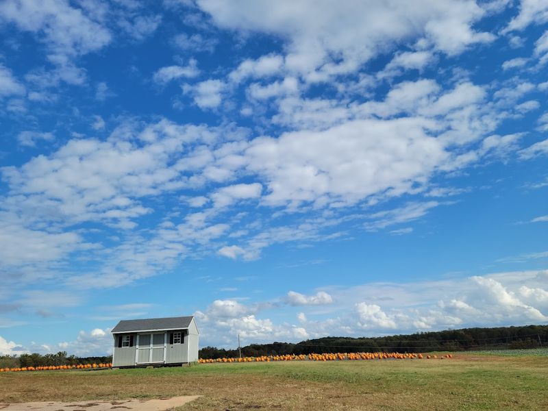 The Snack Shack That Fuels the Fun All Day Long