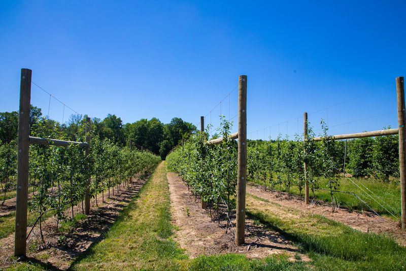 Nature Trails That Slow Everything Down Beautifully