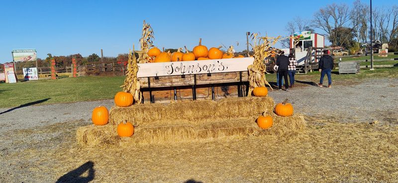 Seasonal Festivals That Celebrate the Best of Indiana Harvests