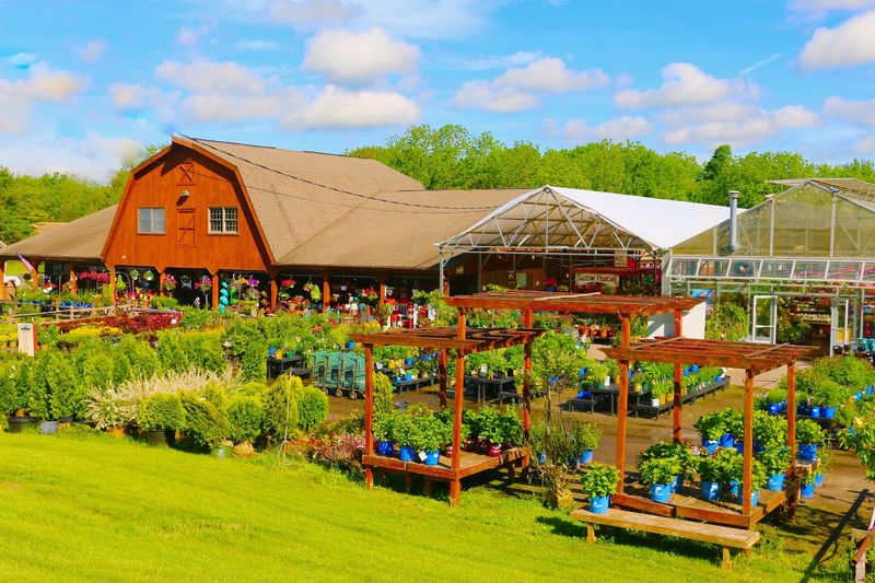 350 Acres of New Jersey Countryside: The Setting Does a Lot of the Work