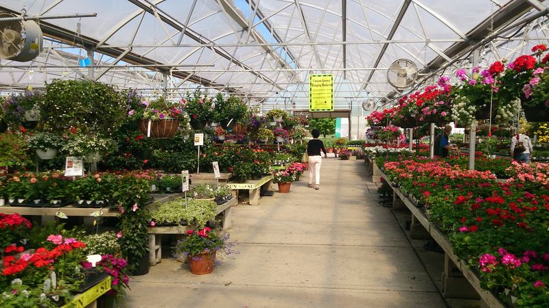 The “One More Lap” Layout That Keeps You Finding New Corners