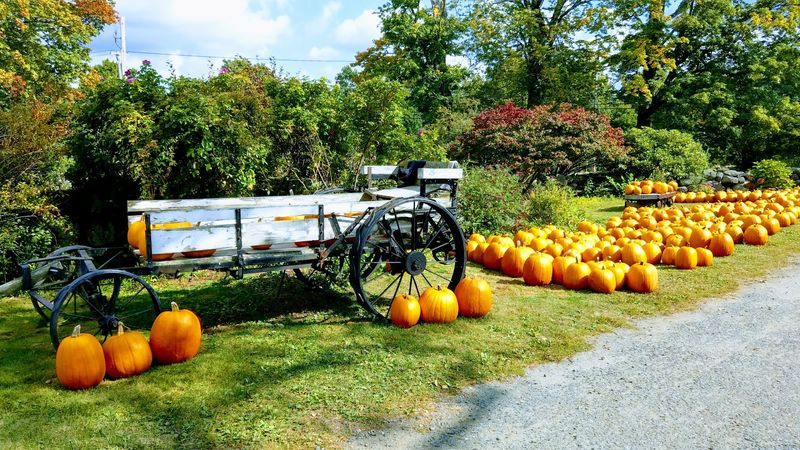 A Country Stop That Feels Genuinely Local