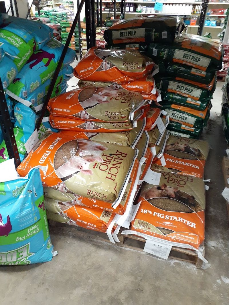 Pet Supplies Fill Entire Aisles With Great Options
