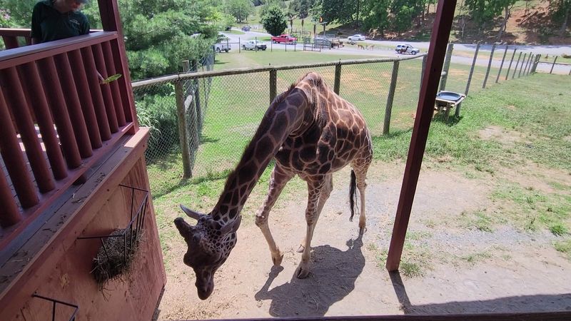 Planning Your Visit: Seasons, Timing, and What to Bring