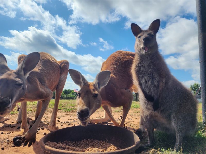 Over 40 Species and the List Keeps Growing