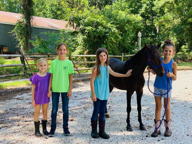 What Makes Chincoteague Island So Impossibly Charming