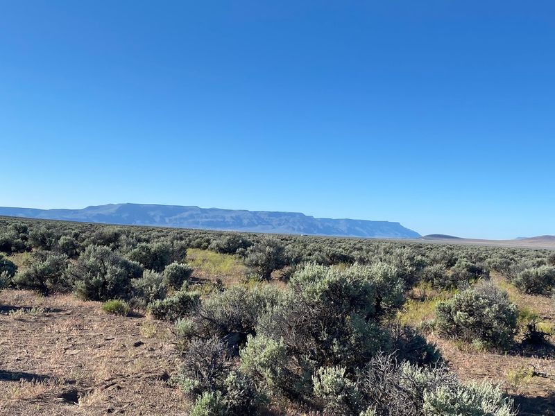 Camping Under a Sky Full of Stars