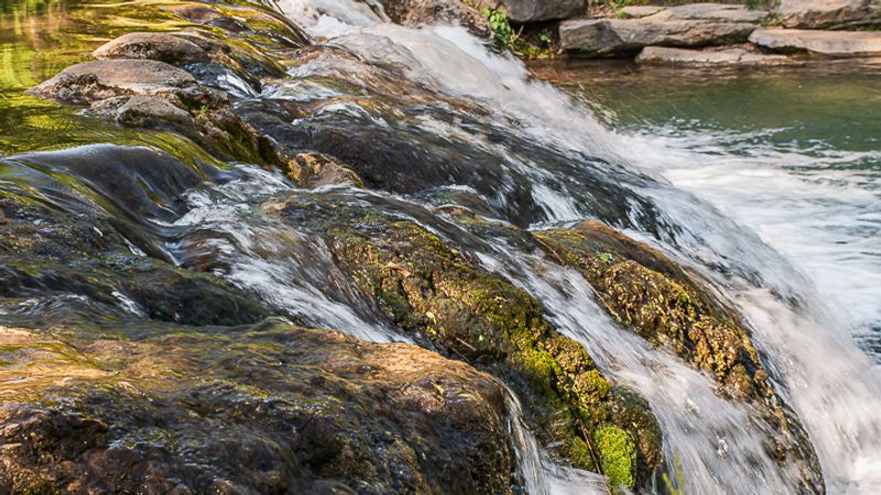 What the Creek Looks Like Up Close
