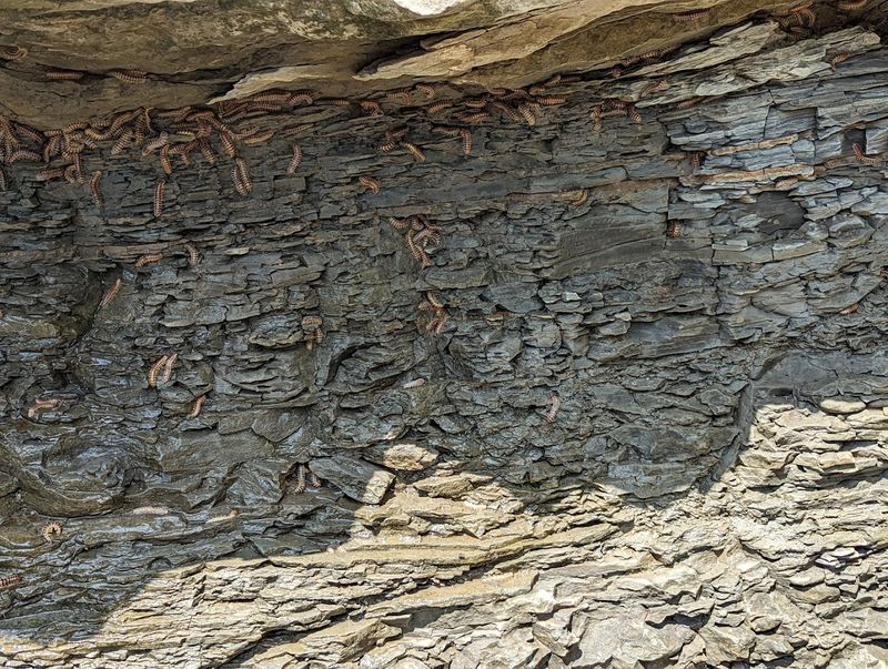 Rock Formations Make the Geology Nerd in You Very Happy