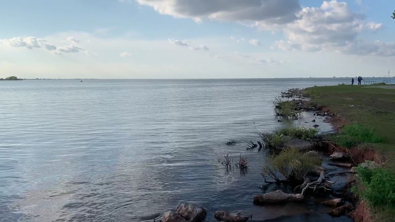 Birdwatching Along The Quiet Shorelines