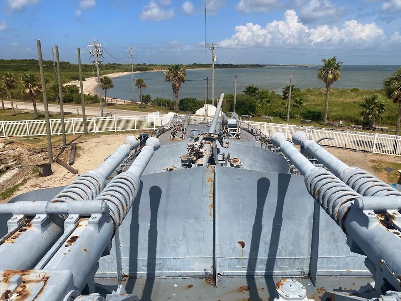 Dolphin Watching From the Waterfront