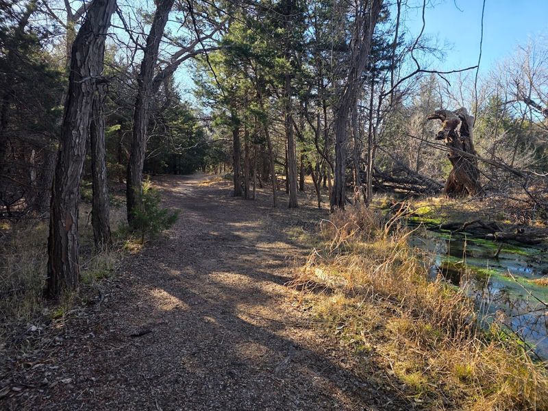 Wildlife Encounters Around Every Turn