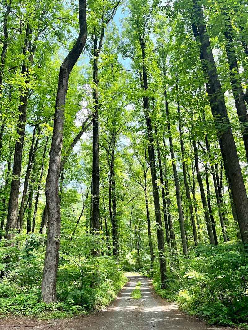 401 Acres of Passive Recreation and Pure Quiet