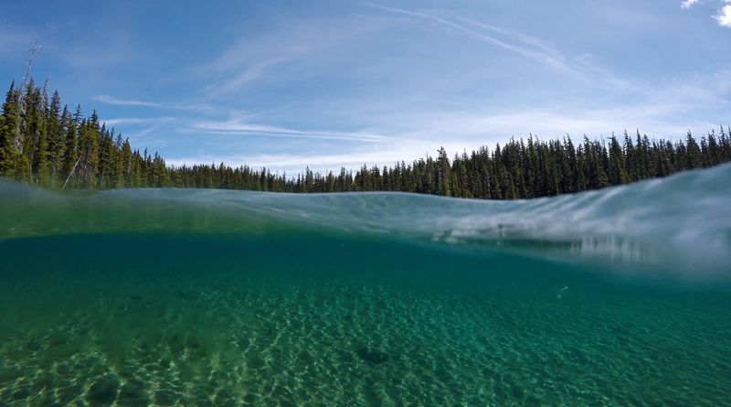 Swimming in Water So Clear It Feels Surreal