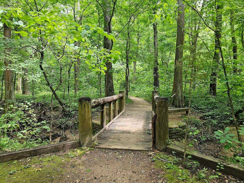 Hiking Trails Through Forests and Wetlands