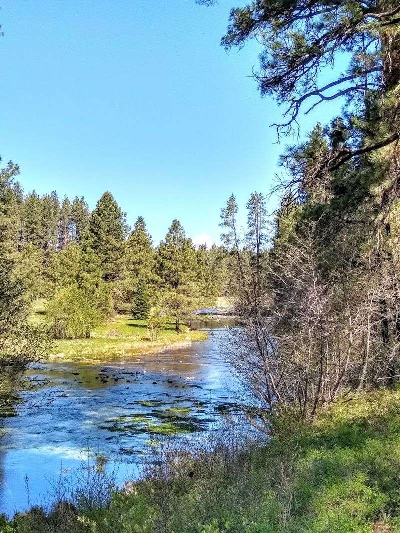 Visiting Metolius Springs, Just Two Miles Away