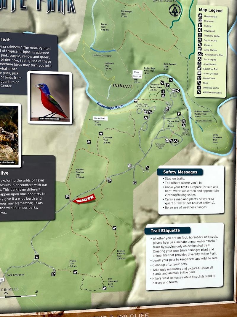 The Discovery Center and Ranger Programs