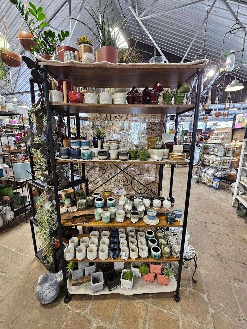 Garden Center Aisles That Turn Into A Slow Wander