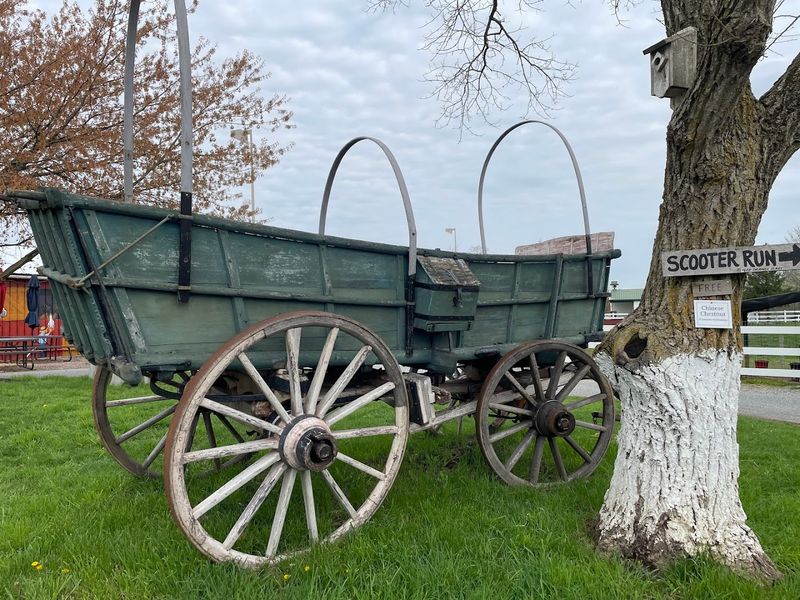 Farmland Tour Ride Through Backroads And Working Farms