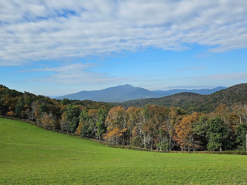Spring Green Hills That Turn Every Walk Into A Reset
