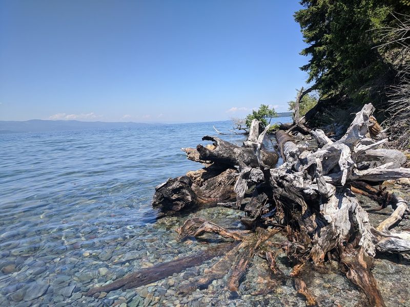 Easy Shore Walks For Fresh Air Without A Big Hike Plan