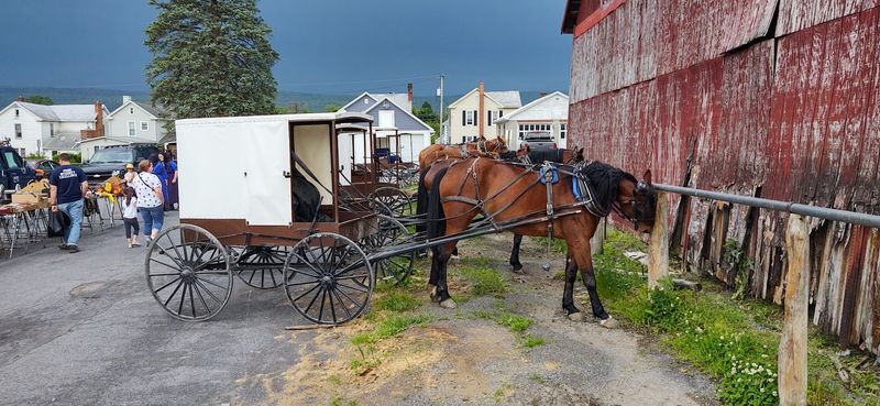 Buggies, Barns, And Local Rhythm That Make The Scene Feel Distinctive