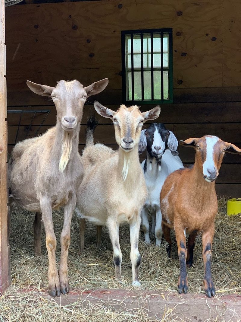 A Perfect Day Trip From New York City