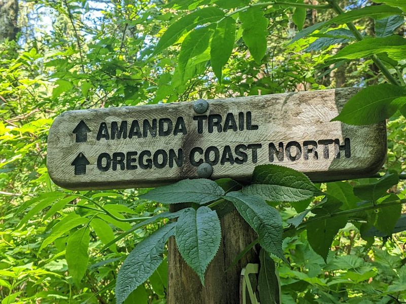 The History Lesson the Trail Quietly Teaches