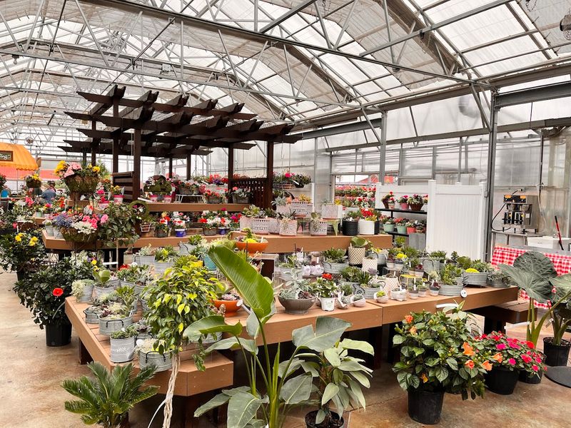 Grab And Go Planters That Make Instant Porch Upgrades Too Easy