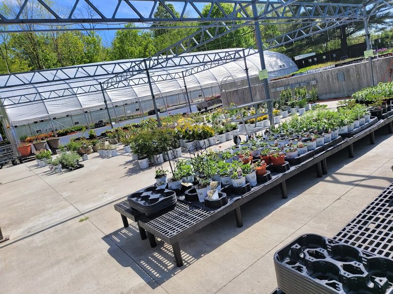 Trees, Shrubs, and Full Landscaping Plants All in One Place