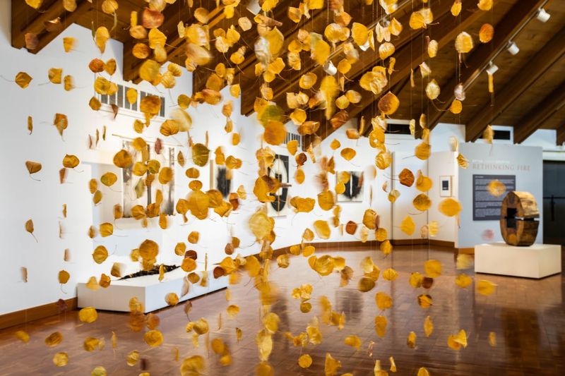 The Photography and Art Exhibits That Add Unexpected Depth