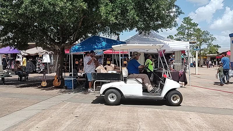 Live Music and Entertainment