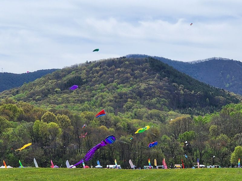 Green Hill Park: The Perfect Stage for a Sky-High Spectacle