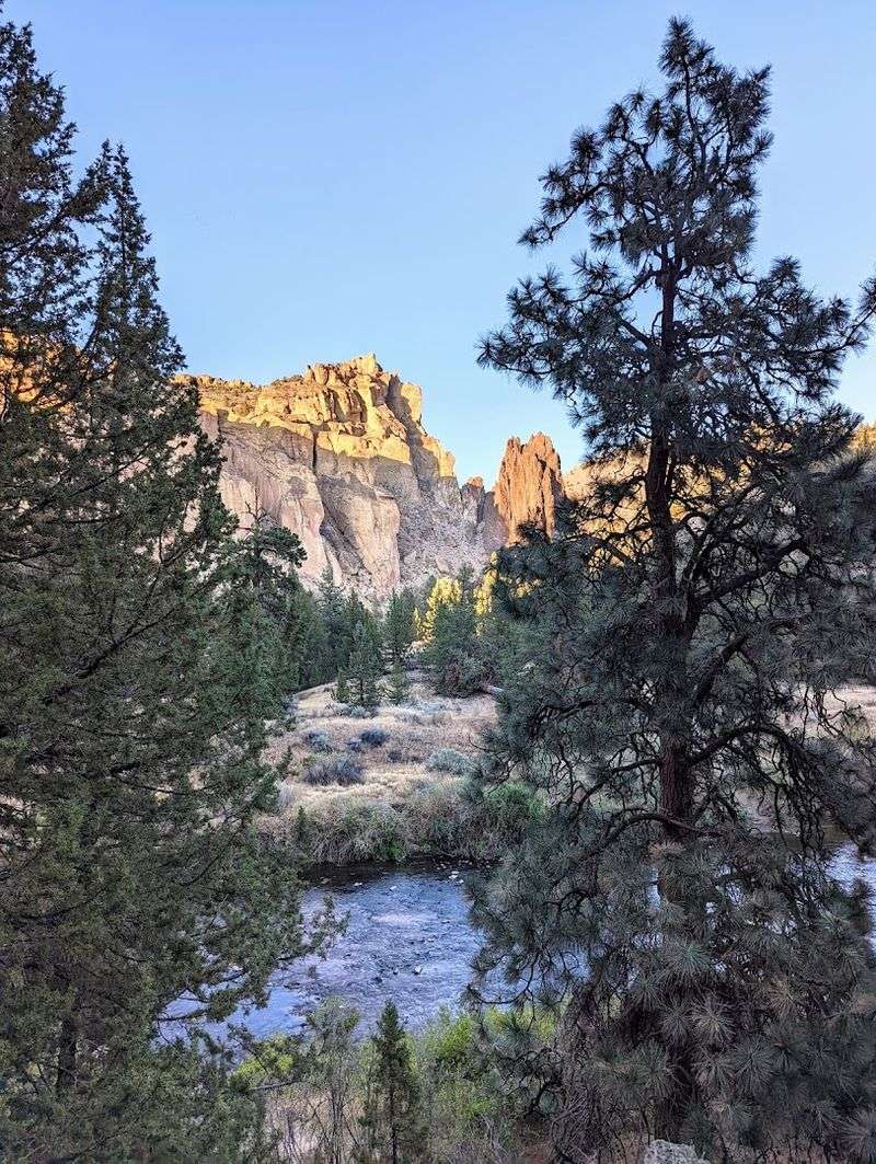 Wildlife and the Natural World Around You