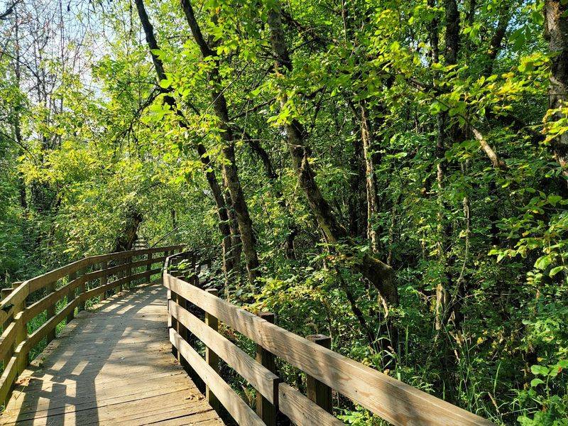 Ankeny National Wildlife Refuge, Jefferson, Oregon