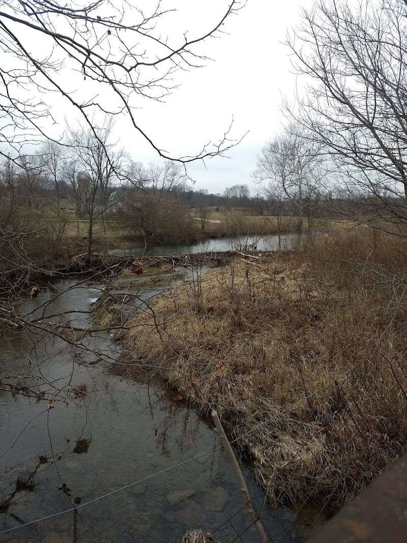 Limestone Creek Views That Rival Any Rail-Trail In The Midwest